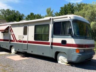 1995 fairport ny